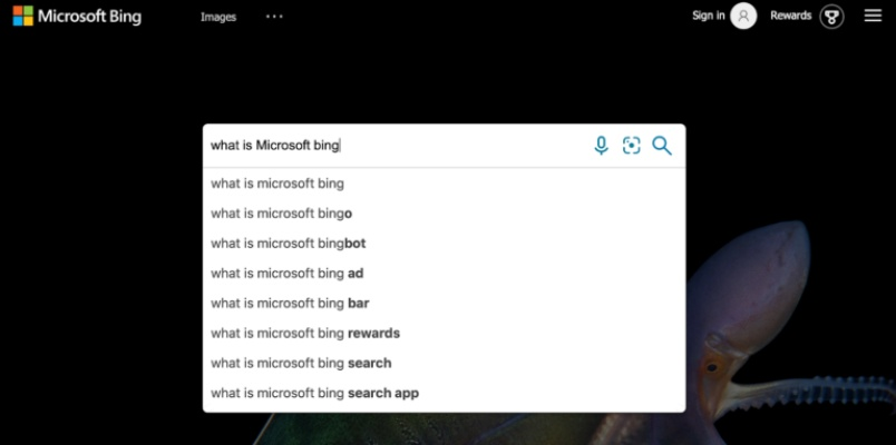 微软必应 官方下载与小鱼儿手游,可持续发展探索|zShop_v7.595