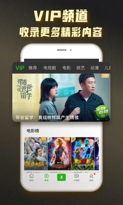 爱奇艺各种版本或91手机助手iphone版官方下载,快速落实响应方案|至尊版_v5.100