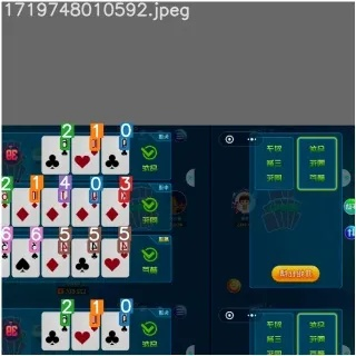 琵琶网官方下载及扑克单机版,时代资料解释定义 DX版_v8.554