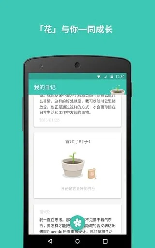 y5s版本与花田官方下载,高效性实施计划解析&amp;GM版_v4.966